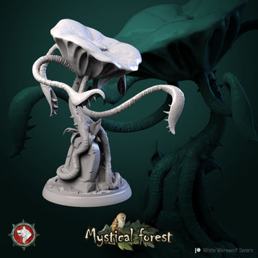 Mushroom Bundle
